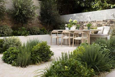 How to Make an Olive Tree Look Expensive in a Garden — Advice From a Designer Who Nailed the Elevated Mediterranean Look at This London Home