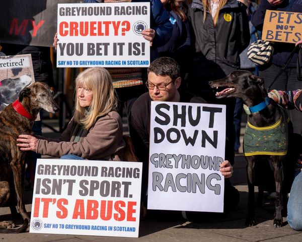 Keir Starmer urged to ban ‘cruel’ greyhound racing in England