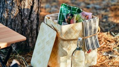IKEA’s Limited Edition Basket Cooler Is This Summer’s Chicest Picnic Essential – It’s the Stylish Cooler Box Upgrade You Need