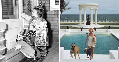 This Instagram Page Reveals Heartwarming Bond Between Dogs And Humans Throughout History (45 Pics)