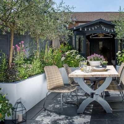 These are the flowering plants to grow for privacy that will provide a natural screen full of colour – and transform an overlooked garden into a private retreat