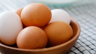 What Happens If You Eat Eggs Daily? Doctor Explains Benefits