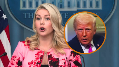 ‘The most well-read person in the room’: Karoline Leavitt’s sycophancy intensifies, insists Donald Trump is secret bookworm