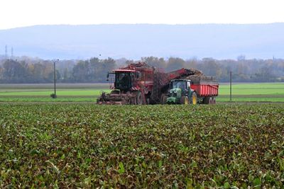 Iran's Strait Of Hormuz Blockade Could Spark a Global Fertilizer Shortage