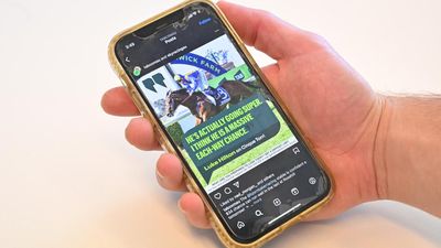 States urged to go beyond Albanese's gambling reforms