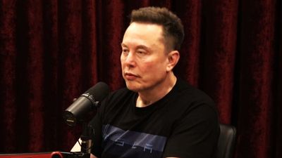Elon Musk, an African immigrant with 14 kids, is shocked by ‘foreign anchor babies’
