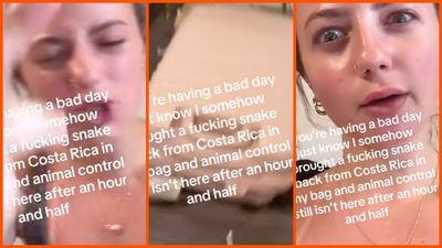 Colorado woman takes trip of a lifetime, but calls the authorities over a surprise in her suitcase: ‘This is a nighmare’