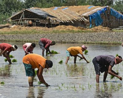 ‘India is going to face a food crisis’: Farmers panic over fertiliser shortages amid Iran war
