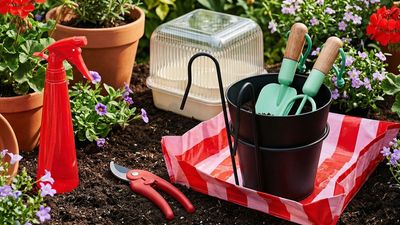 IKEA just launched the perfect balcony gardening starter kit — 12 essentials from $1.99