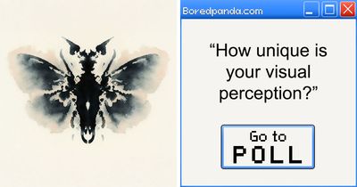 This 22-Image Inkblot Poll Will Reveal How Rare Your Perception Is Compared To Others