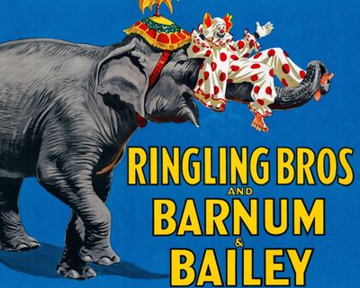 What links PT Barnum’s elephant with a book of Job beast? The Saturday quiz