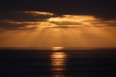 Record high ocean temperatures off southern California raise fears of prolonged marine heatwave