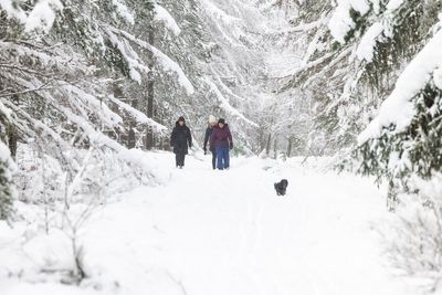 Storm Dave set to bring heavy snow and gale-force winds across parts of the UK