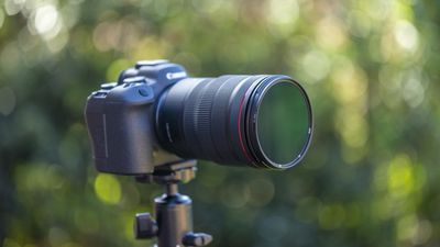 Urth Infrared Filter Plus+ review: a 720nm filter for punchy monochrome IR photography