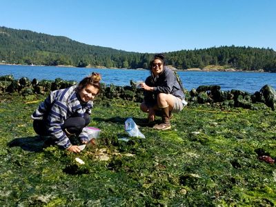 Braiding knowledge: how Indigenous expertise and western science are converging