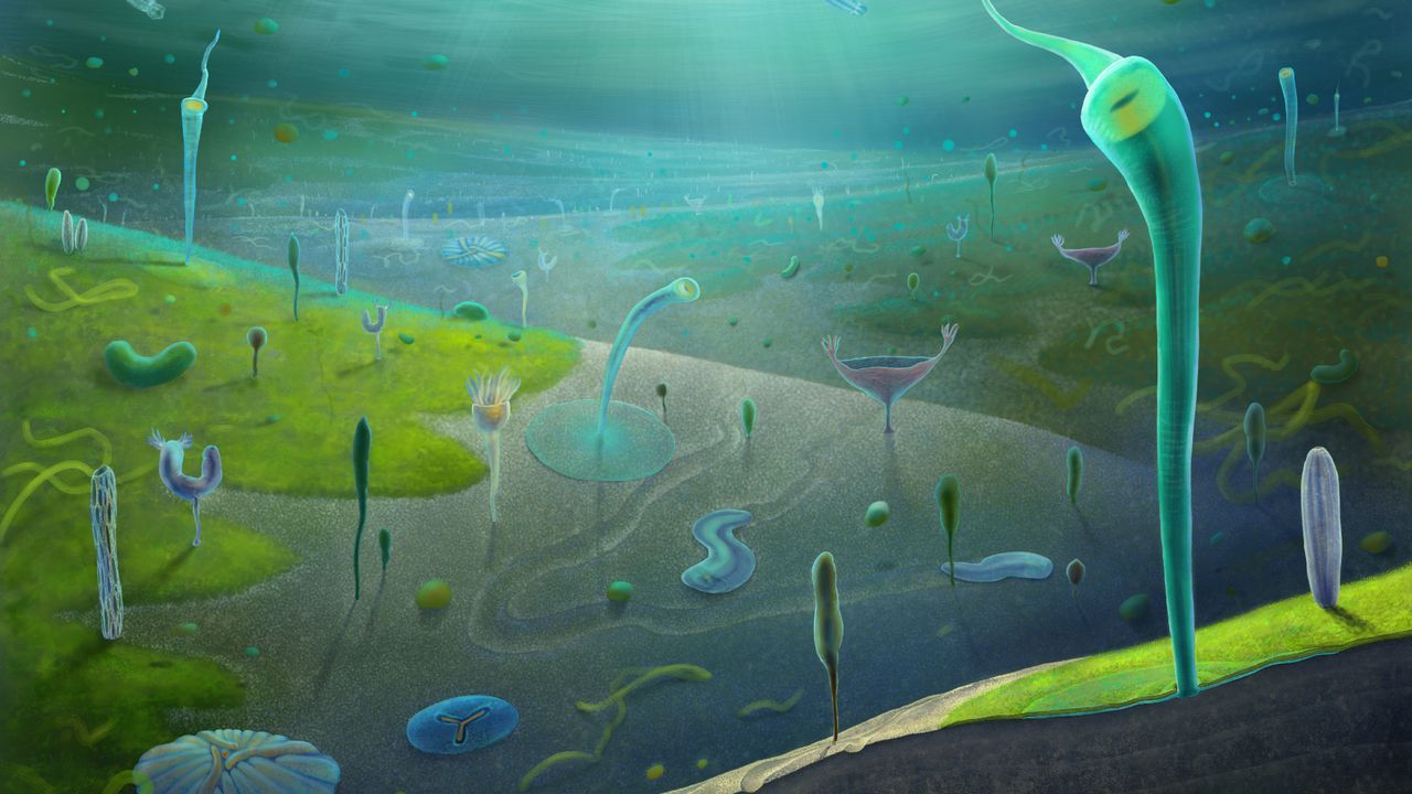 Fossil site in China reveals bevy of complex creatures…