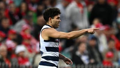 Cat's comeback looms, with AFL an immediate option