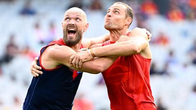 Demons on the rise as skipper Gawn leads upset of Suns