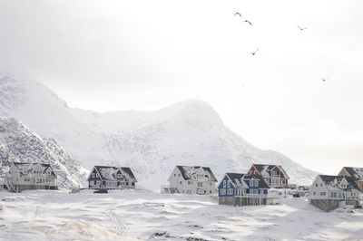 Four feared dead after horror avalanche traps skiers in Greenland as major rescue operation launched