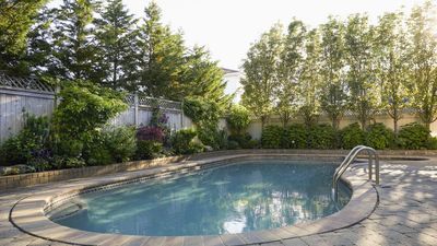 Don’t Prune These Trees in April – You’ll Sacrifice Blooms Or Even Risk Their Future Health