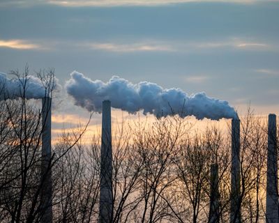 Paul Marshall and the truth about net zero