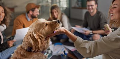 Want a dog-friendly workplace? Here’s what you’ll need to get right