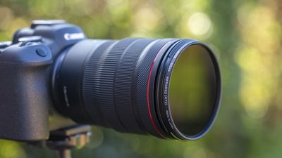 Hoya R72 infrared filter review: top-quality glass for stunning mono infrared images