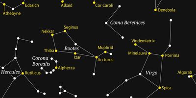 Boötes the herdsman rises to prominence in the northern sky