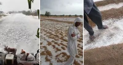 Bikaner Turns White: Rare Hailstorm Transforms Rajasthan’s Desert Landscape