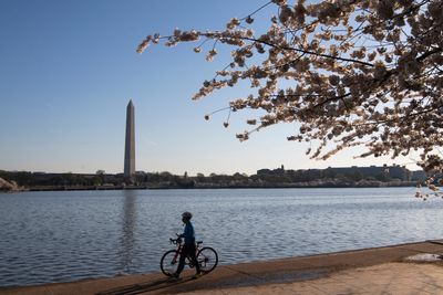 Trump’s budget proposal for Interior seeks to make DC beautiful again