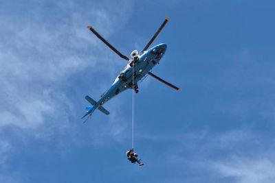 Hiker fighting for life after getting stung by bees over 100 times