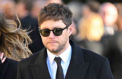 Niall Horan wonders if he could have 'done more' for Liam Payne before tragic death