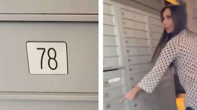 7 H-1B workers inside a mailbox: US reporter claims ‘fraud’ involving software engineers in Texas