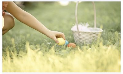 Baby Among Three Killed After Tree Collapses During Easter Egg Hunt