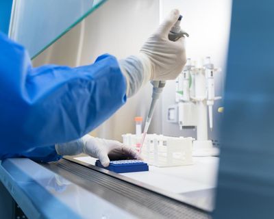 ‘Traceability is vital’: labs test thousands of unregulated substances amid peptide craze