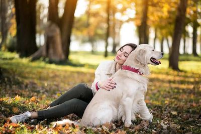 How Smart Are Dogs Really? What Science Reveals