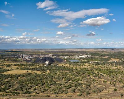 Using AI to speed up Australia’s environmental approvals risks ‘robodebt-style’ failures, scientists say