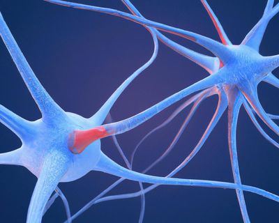 Scientists identify ‘neural fingerprint’ of psychedelic drugs in the brain