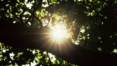 I used to believe a good photograph had to be technically perfect – sharp focus, balanced exposure, no blur, no grain, and no flare. I chased technical perfection because it felt safe. I now realize the images I remember broke these rules