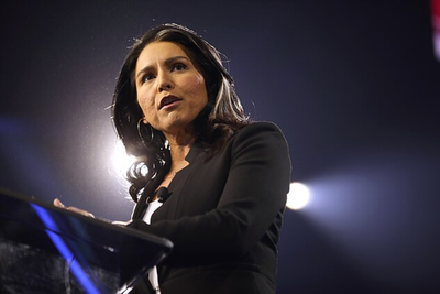 First Noem and Bondi, Now Tulsi Gabbard? Another Trump Female Official Trends As Unverified 'Firing' Claims Spread