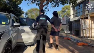 Reservist charged with fighting in Ukraine granted bail