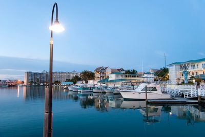 American woman missing after falling overboard in the Bahamas