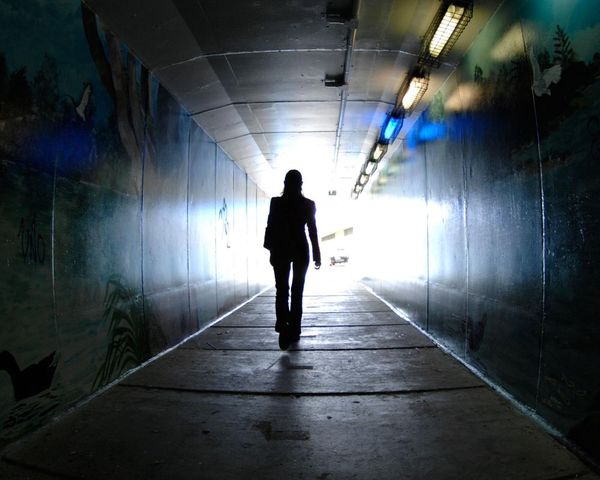 Tuesday briefing: What is driving the record rise in stalking offences?