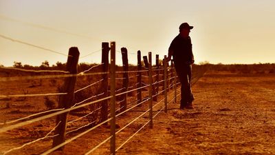 Red tape delays mental health care for rural Aussies
