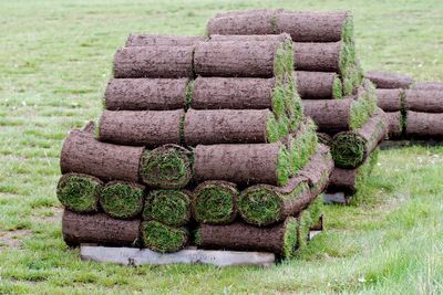 Turf or seed? The best options for your garden