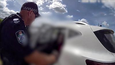 Teens charged after police car stolen, officers injured