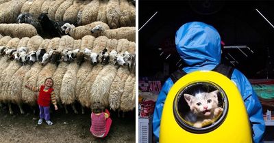 Here Are 33 Of The Most Interesting Images Selected By This Instagram Page (New Pics)