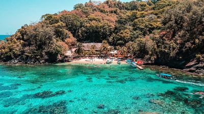 Plex's Company Trip in Honduras Turns Nightmarish As Staff Endure Fleas, Food Poisoning, and Brutal Survival Drills