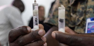 Seizure of 2,000 ants at Nairobi airport highlights the hidden scale of insect trafficking