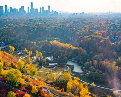 Row over ‘virtual gated community’ AI surveillance plan in Toronto neighbourhood